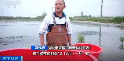 小龙虾越卖越便宜，这些养殖户还在赚钱
