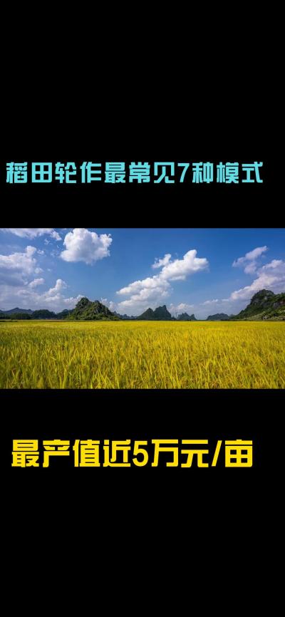 &ldquo;一田多收，藏着农业增收的密码！今天带您1分钟看懂水稻轮作的致富密码