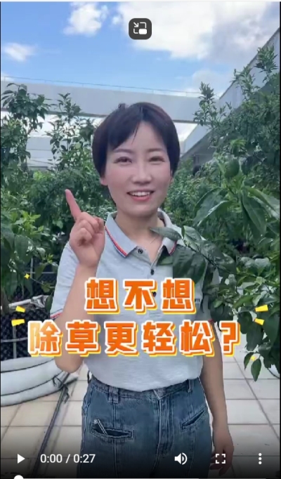 打了除草剂，死草慢，草死了两天又活了，怎么办？我教你一招