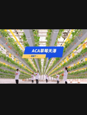 自由升降、追光生长。#ACA草莓天瀑，美爆了！向天再借500平！#ACA可控农业 #华维集团 #数字农业