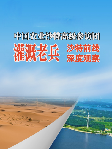 #华维沙特行 灌溉之于沙漠之城利雅得的现实意义 #灌溉不止于灌溉 #华维集团