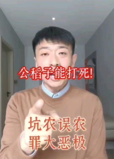 公稻子可以打死？纯属误农！