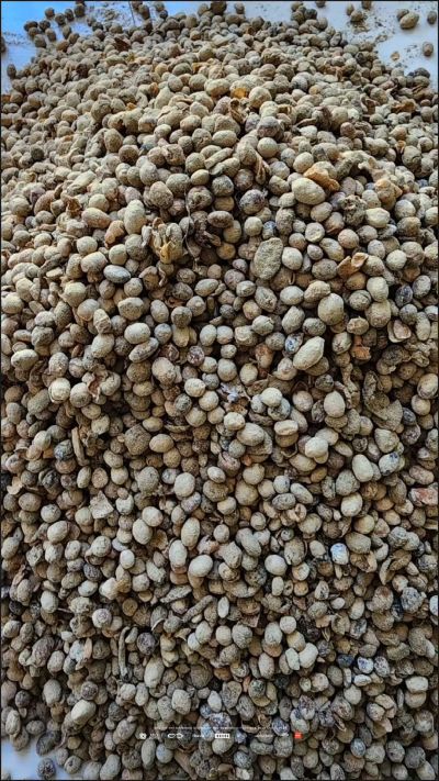 有机肥菌肥生产厂家，二十多年老厂，年销售量三十万吨，资质齐全，支持定制，罐装业务，有机肥、菌肥、微生物肥料、微生物菌剂、复合微生物肥料、水溶肥等，欢迎来电咨询19832013321