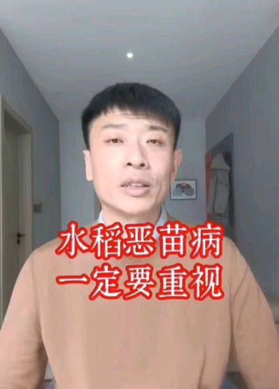 水稻恶苗病发生原因及预防！