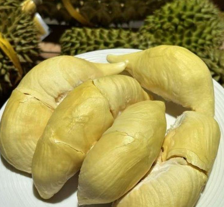 泰国甲仑榴莲
浓香满口，丝滑如奶油
甜甜糯糯，榴莲味浓郁
谁让它是泰国榴莲界的元