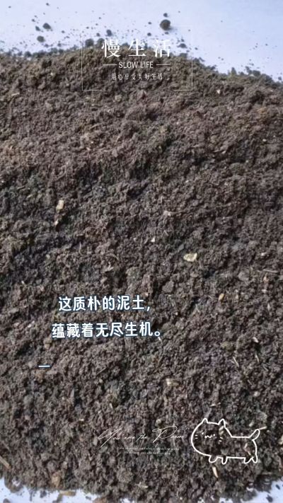 有机肥厂家直销