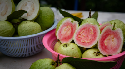 番石榴
采购意向地：&nbsp;面向全国
送货地区：&nbsp;山东
其他要求：&nbsp;寻求靠谱货源，长期