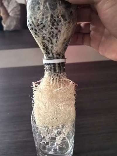 年销售量三十万吨的有机肥生产厂家，全国网点发货，资质齐全，正品保障！有机肥、生物菌肥、微生物肥料等