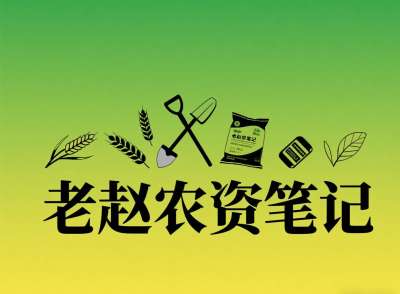 乡镇农资店对接厂家：不是否定代理，是找对&ldquo;有前景的小厂&rdquo;补增量