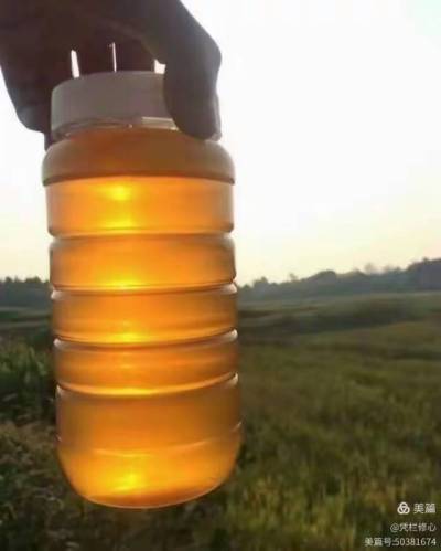&ldquo;蜜&rdquo;源自然，臻选乡土精华。产自株洲市渌口区淦田镇成国家庭农场的纯天然中华蜂蜜，