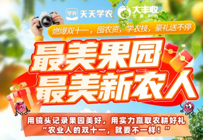 丰农控股2025年 &ldquo;最美果园&rdquo;&ldquo;最美新农人&rdquo; 评选活动启动，助力农业风采展示