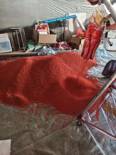 四冠包衣拌种，防虫防病壮苗增产。