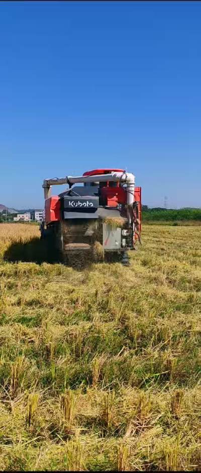 惠州基地，无人拖拉机收水稻了。