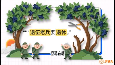 第7节：修剪决定产量（下）&mdash;&mdash;结果树的更新与疏果，课程：《蓝莓&ldquo;高产&rdquo;实战课：从选苗到丰收的10个关键点》