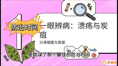 第三节：细菌与真菌&mdash;&mdash;溃疡病与炭疽病，课程：《柑橘十大病虫害：从入门到精通》