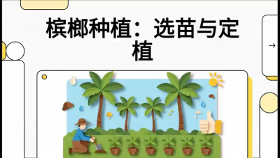 第01节：选苗与定植&mdash;&mdash;&ldquo;苗好一半收，底肥定千秋&rdquo;课程：《槟榔种植：从不懂到精通的10堂必修课》