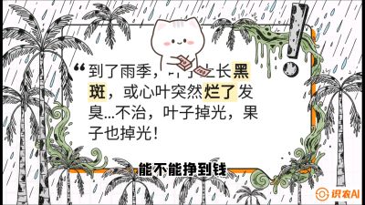 第05节：常见真菌病害&mdash;&mdash;&ldquo;炭疽与烂心，早防值千金&rdquo;《槟榔种植：从不懂到精通的10堂必修课》