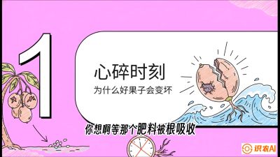 第08节：微量元素与保果&mdash;&mdash;&ldquo;补硼又补钙，果子不裂坏&rdquo;《槟榔种植：从不懂到精通的10堂必修课》