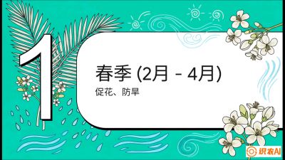 第10节：周年农事日历&mdash;&mdash;&ldquo;跟着节气走，丰产在手头&rdquo;《槟榔种植：从不懂到精通的10堂必修课》