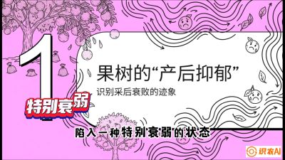 第2节：【冬肥策略】采后&ldquo;月子肥&rdquo;：大小年的精准干预术，课程：《柑橘底肥&ldquo;翻身账&rdquo;：从改土到高产的实战全书》