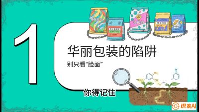第4节：【黄金配方】底肥里的&ldquo;铁三角&rdquo;与&ldquo;微量雷区&rdquo;课程：《柑橘底肥&ldquo;翻身账&rdquo;：从改土到高产的实战全书》