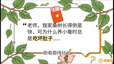 第01节：不仅仅是树&mdash;&mdash;顶级品种选配策略，课程：《桑海淘金：桑树高产与蚕桑安全进阶实战课》