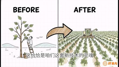 第02节：把树变成草&mdash;&mdash;&ldquo;草本化密植&rdquo;技术，课程：《桑海淘金：桑树高产与蚕桑安全进阶实战课》