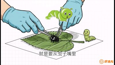 第07节：虫口夺叶（下）&mdash;&mdash;不得不打药时的&ldquo;解毒术&rdquo;，课程：《桑海淘金：桑树高产与蚕桑安全进阶实战课》