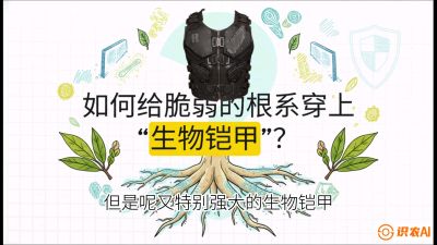 第三节：国产榴莲突围战：根系堡垒，菌根微生态构建与黄金定植窗口，课程：《国产榴莲突围战：从泰国经验到中国实操的8堂必修课（高阶实战版）》