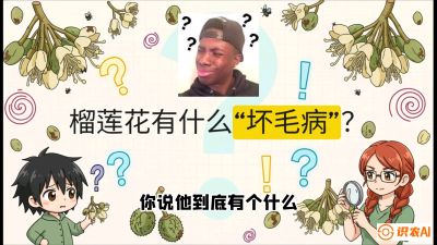 第六节：榴莲的午夜战事，夜间授粉战与花果期避雨策略，课程：《国产榴莲突围战：从泰国经验到中国实操的8堂必修课（高阶实战版）》