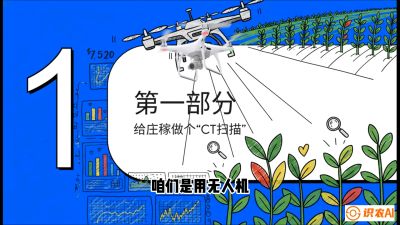 第5节：无人机也能&ldquo;看病抓药&rdquo;&mdash;&mdash;处方图与变量施肥入门，课程：《无人机植保搞钱必修课：从&ldquo;瞎飞&rdquo;到&ldquo;懂行&rdquo;的6步进阶》