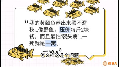 第四节：【黄金单品&middot;黄颡鱼】解决&ldquo;一点红&rdquo;与&ldquo;香蕉色&rdquo;的悖论，课程：《黄金鳞甲：2025中国淡水鱼高效养殖实战营》