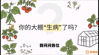 第2节（解毒篇）： 大棚里的&ldquo;红白绿&rdquo;警报&mdash;&mdash;读懂土壤盐渍化的求救信号，课程：《揭秘土壤的秘密：让土地帮你赚钱》#识农AI