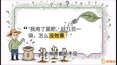 第4节（活化篇）： 土壤里的&ldquo;雇佣兵&rdquo;&mdash;&mdash;如何用菌剂以小博大，解决死棵难题，课程：《揭秘土壤的秘密：让土地帮你赚钱》#识农AI