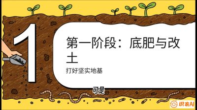 第6节（统筹篇）： 省钱又增产的&ldquo;黄金配比&rdquo;&mdash;&mdash;不同作物全年的养土实操方案，课程：《揭秘土壤的秘密：让土地帮你赚钱》#识农AI