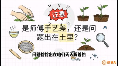 第02节（土肥篇）：告别&ldquo;苦涩水味&rdquo;：揭秘&ldquo;碳氮比&rdquo;调控术，种出自带兰花香的好茶底，课程：《茶金时代：从&ldquo;看天吃饭&rdquo;到&ldquo;精准控局&rdquo;的茶叶高产提质实战课》