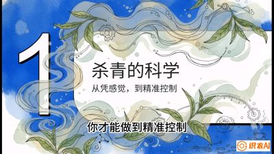 第05节（加工篇）：决胜2分钟：用&ldquo;数字温控&rdquo;破解杀青不匀，复刻大师级手工口感，课程：《茶金时代：从&ldquo;看天吃饭&rdquo;到&ldquo;精准控局&rdquo;的茶叶高产提质实战课》