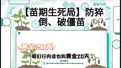 第2节：【苗期生死局】防猝倒、破僵苗，决定后期产量的&ldquo;黄金20天&rdquo;，课程：《辣椒种植实战特训营，从工业辣椒到精品小米辣，教你如何把&ldquo;草&rdquo;种成&ldquo;金&rdquo;》