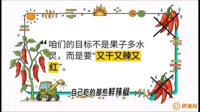 第7节：【工业辣椒专场】追求极致辣度！干物质提升与机械化采收的&ldquo;催红秘籍&rdquo;，课程：《辣椒种植实战特训营，从工业辣椒到精品小米辣，教你如何把&ldquo;草&rdquo;种成&ldquo;金&rdquo;》