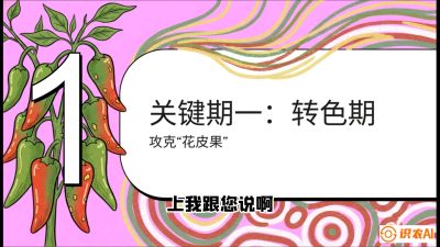 第8节：【小米辣线椒专场】颜值即正义！防花皮、防炭疽，打造收购商抢着要的&ldquo;精品果&rdquo;，课程：《辣椒种植实战特训营，从工业辣椒到精品小米辣，教你如何把&ldquo;草&rdquo;种成&ldquo;金&rdquo;》