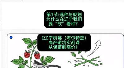 第一节： 选种与规划&mdash;&mdash;为什么在辽宁我们要&ldquo;砍&rdquo;着种？，课程：《辽宁树莓（海尔特兹）高产避坑实战课：从保苗到高价》