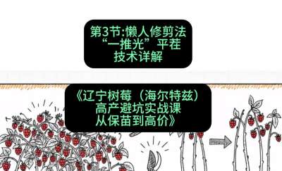 第三节： 懒人修剪法&mdash;&mdash;&ldquo;一推光&rdquo;平茬技术详解，课程：《辽宁树莓（海尔特兹）高产避坑实战课：从保苗到高价》