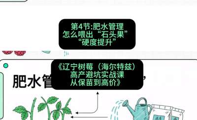第四节： 肥水管理&mdash;&mdash;怎么喂出&ldquo;石头果&rdquo;（硬度提升），课程：《辽宁树莓（海尔特兹）高产避坑实战课：从保苗到高价》