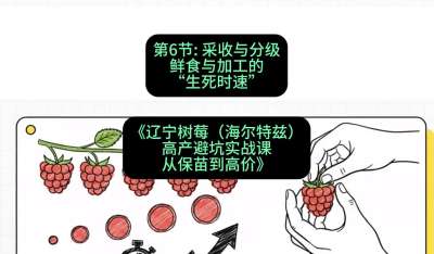 第六节： 采收与分级&mdash;&mdash;鲜食与加工的&ldquo;生死时速&rdquo;，课程：《辽宁树莓（海尔特兹）高产避坑实战课：从保苗到高价》