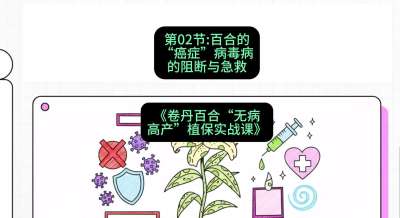 第02节：百合的&ldquo;癌症&rdquo;&mdash;&mdash;病毒病的阻断与急救，课程：《卷丹百合&ldquo;无病高产&rdquo;植保实战课》#识农AI