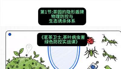 第01节：茶园的&ldquo;隐形盾牌&rdquo;&mdash;&mdash;物理防控与生态诱杀体系，课程：《茗茶卫士&mdash;&mdash;茶叶病虫害绿色防控实战课》#识农AI