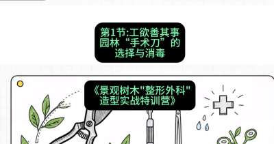 第01节：工欲善其事&mdash;&mdash;园林&ldquo;手术刀&rdquo;的选择与消毒，课程：《景观树木&ldquo;整形外科&rdquo;造型实战特训营》#识农AI