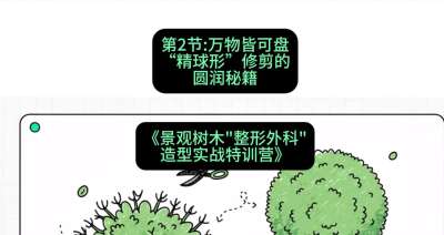 第02节：万物皆可盘&mdash;&mdash;&ldquo;精球形&rdquo;修剪的圆润秘籍，课程：《景观树木&ldquo;整形外科&rdquo;造型实战特训营》#识农AI