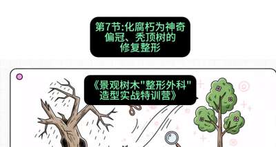 第07节：化腐朽为神奇&mdash;&mdash;偏冠、秃顶树的修复整形，课程：《景观树木&ldquo;整形外科&rdquo;造型实战特训营》#识农AI