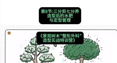第08节：三分剪七分养&mdash;&mdash;造型后的水肥与定型管理，课程：《景观树木&ldquo;整形外科&rdquo;造型实战特训营》#识农AI